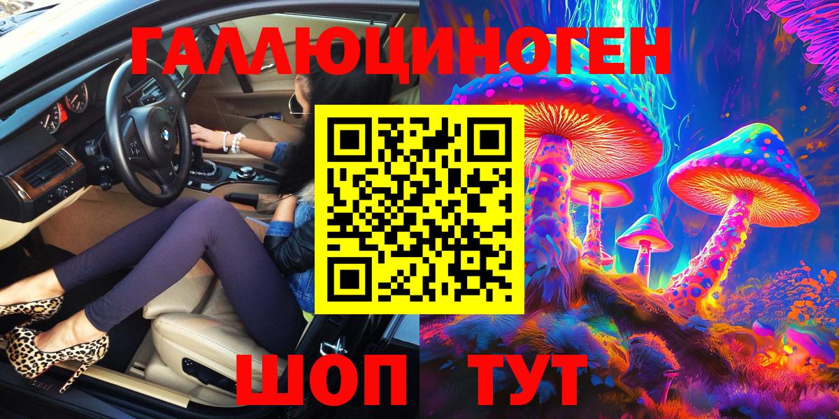 Галлюциногенные грибы Psilocybe Кингисепп